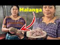 Aprenda A Cocinar La Malanga, Deliciosa Raiz