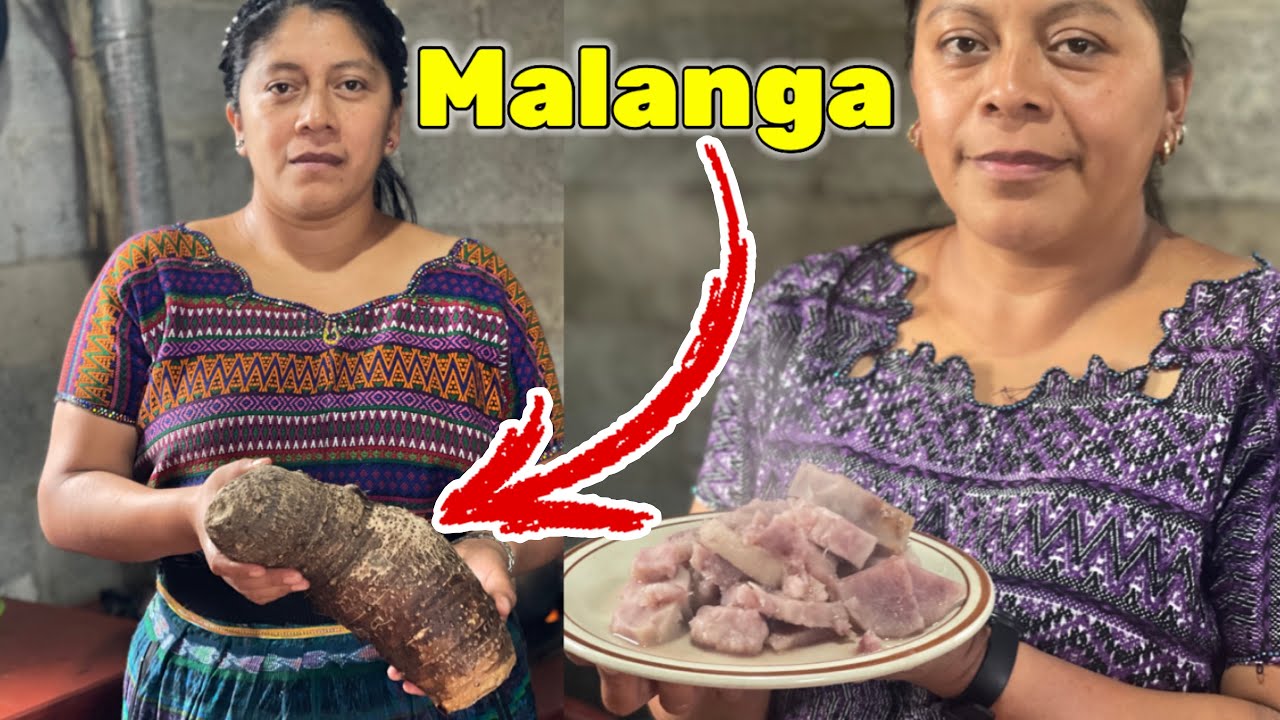Aprenda A Cocinar La Malanga, Deliciosa Raiz