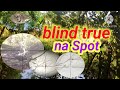 Blind true  na spotbird hunting