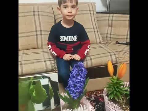 اسم گلا تنبل سنبل لاله لیلیوم سنبل لاله