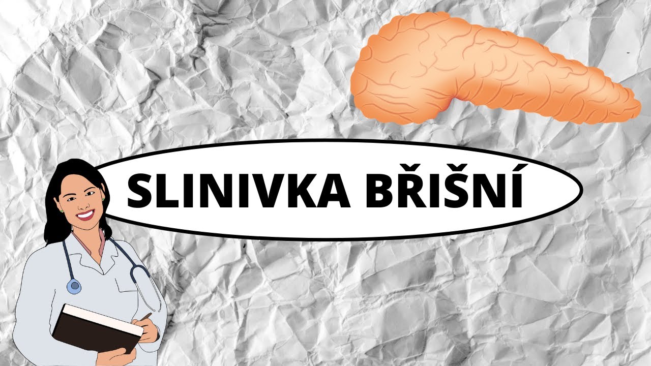 SLINIVKA BŘIŠNÍ - anatomie, histologie, tvorba hormonů