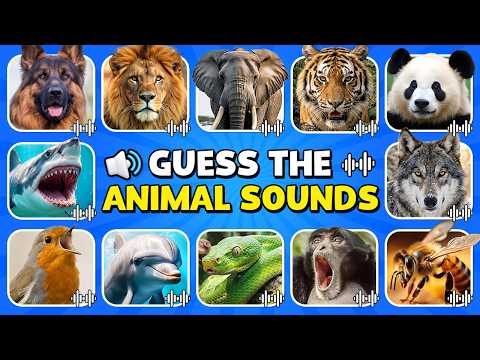 Guess The Animals by The Sound 🔊🦁🐼 | Animals Sounds Quiz