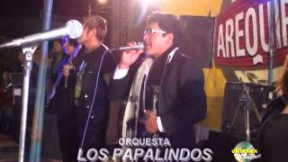 Video thumbnail of "PAPALINDOS MIX FRANCO ROJAS"