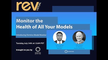 Monitor the Health of All Your Models: Introducing Domino Model Monitor