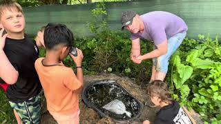 3 Brothers release 5 baby English Carp into their new water world nursery  project mini pond