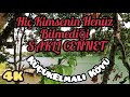 Küçük Elmalı Tabiat Parkı ( Saklı CENNET - Bursa&#39;yı Geziyoruz )