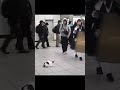 そよ風の誘惑#猫