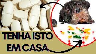 [UTILIDADE] 5 MEDICAMENTOS PARA TER NA SUA CASA EM CASO DE DOENÇA DO  CACHORRO  REMÉDIO PARA CÃES