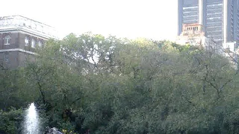 Central Park in the Fall - 2008