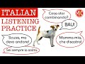 Italian Listening Practice 7 - Cos'ha combinato Attila? | Learn Conversational Italian