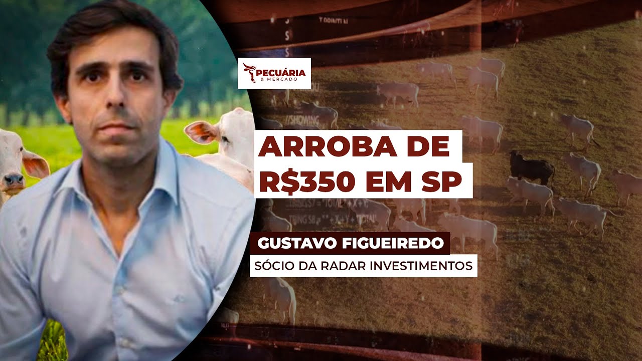 Frigoríficos em SP já pagam R$350 pela arroba do boi,  com cenário de escassez de oferta e demanda..