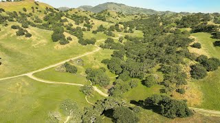 Bay Area Hike Walnut Creek Fossil Hill Trail 4K