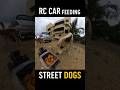 🐶 Dogs ki Parle-G delivery by my RC car #funny #cutebaby #toybreed #voiceover #pets #cutedog