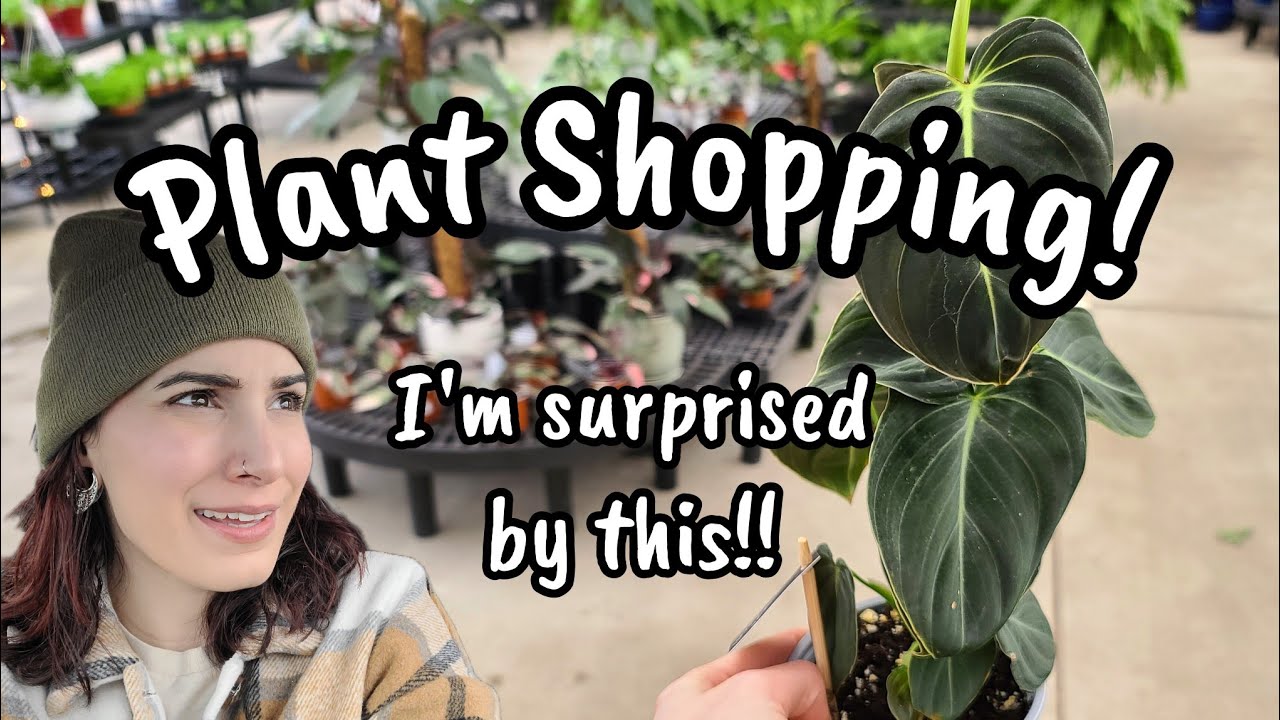 CRAZY LOW PRICES!! Plant Shopping in New Hampshire!! 🌿 Osborne's Farm