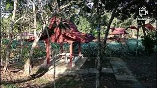 JOIN ME FOR A WALK | HIKE | TASIK SERUBING
