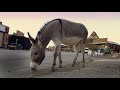 Tokimonsta Gamble Unofficial Music Video mp3