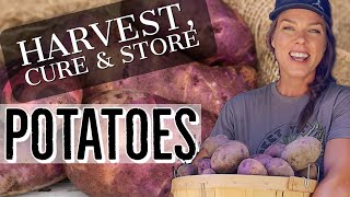 Storing Your Garden Potatoes for Winter - Harvest, Cure & Store for Long-Term Storage