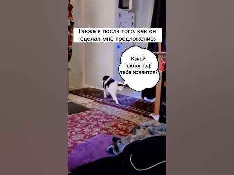 Сделай мне предложение! - YouTube