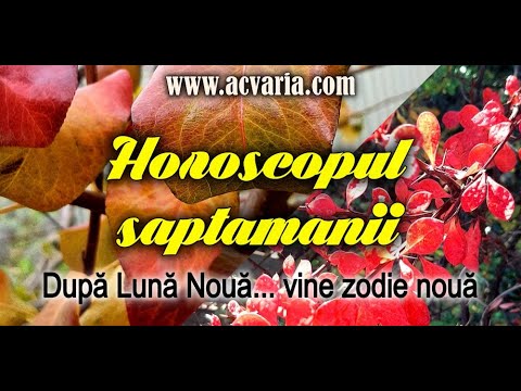 ⭐ HOROSCOPUL SAPTAMANII