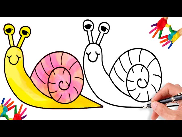 كيفية رسم الحلزون | رسم حلزون للاطفال | How to Draw a Snail and Turtle |  snail-drawing - YouTube