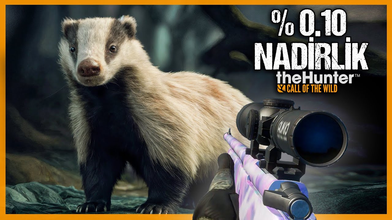 ELMAS SEVİYE %0.10 NADİR DİLUTE KÜRKLÜ PORSUK AVI ! ÇOK ŞANSLI GÜN ! | theHunter:Call of the Wild