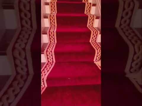 The Red Carpet Stairs Redcarpet Stairdesign Shortvideo Shortbeta Youtubeshorts
