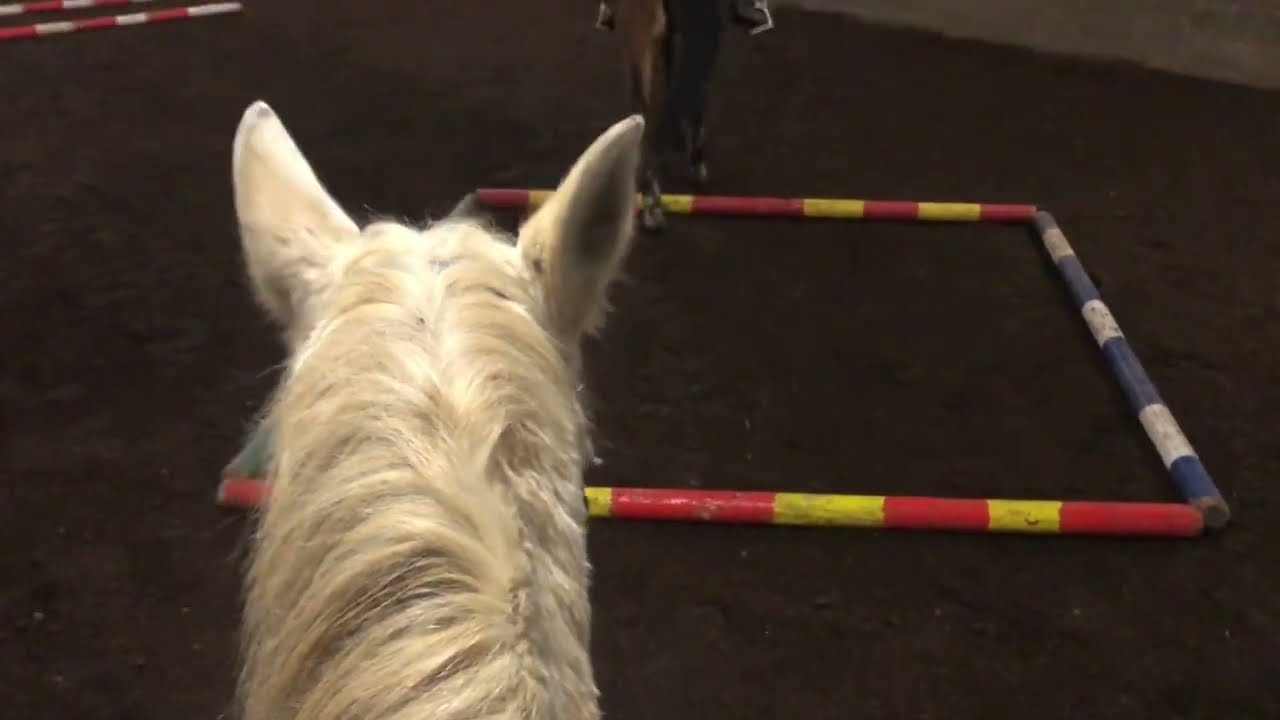 Už je tady čas na práci na hale 🏇🏇