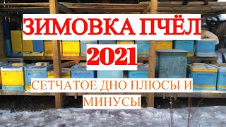 Зимовка пчел 2021, холодная зимовка, сетчатое дно плюсы и минусы