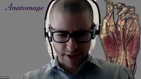 Forensic Radiology Applications with the Anatomage Table