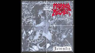 Morbid Angel - Damnation (Live) (Official Audio)