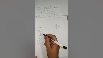 Types of cells in Xylem