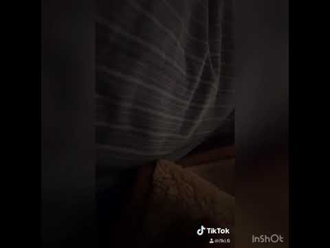 تتتتتتتتتتتتتتتتتتتت