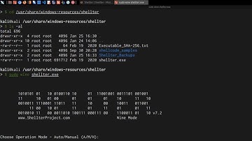 Mastering AV Evasion with Shellter | Advanced Red Teaming Tactics | Antivirus & Malware Evasion