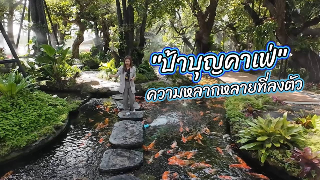 วิถีไทยใช่เลย : 