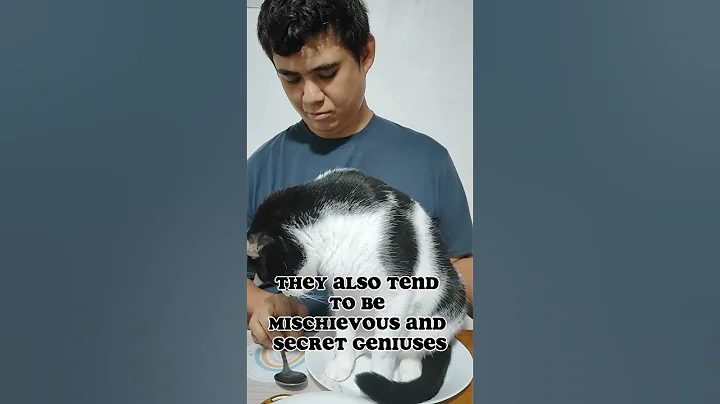 Facts About Tuxedo Cat #cat #pets #catlover #catsrule #felineantics #kitten #tuxedocats #puspincats