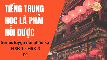 LUYỆN NÓI PHẢN XẠ TIẾNG TRUNG | Series 500 câu tiếng trung cơ bản HSK1 -HSK3 | PHẦN 1