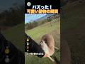 可愛い動物の瞬間！のサムネイル