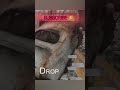 Granny House Horor game escape💀 😱