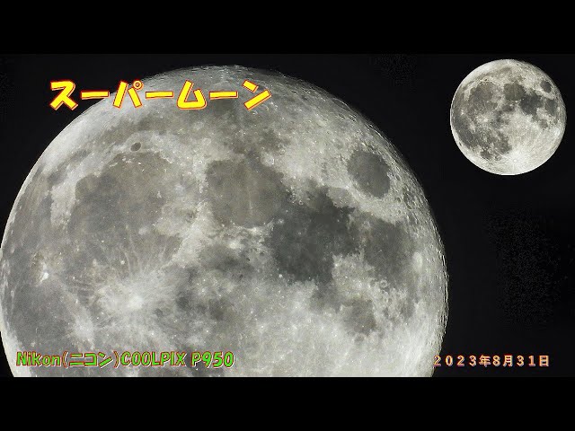 2人のスーパームーン、誕生!! PSA8 2人のスーパームーン、誕生!! PSA8 2人のスーパームーン、誕生!! PSA8
