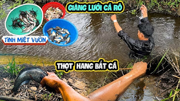 Một Mình Trải Nghiệm Giăng Lưới, Bắt Cá Bằng Tay Không Giữa Cánh Đồng - Thành Quả Bất Ngờ
