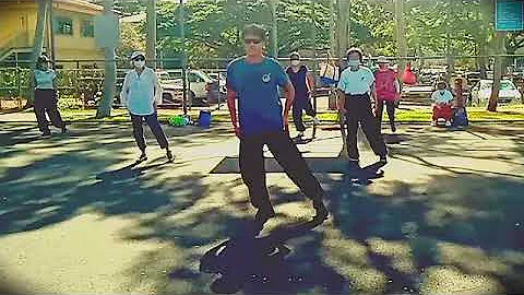 Tai Chi with Ricardo Chao Chen Style Form 56