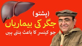 Diseases of the Liver: Clinical Implications | Pashto || Prof. Dr. Javed Iqbal Farooqi
