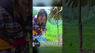 不再擠捷運!瓜子中古車帶我實現鄉村夢,我的田園樂活日常終於開始了! #田园生活 #农村生活 #乡村生活 #三农 #农村