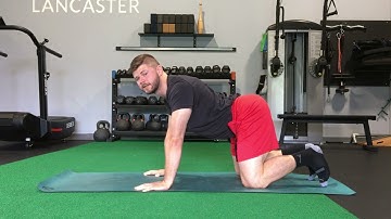 Quadruped Spine Extension and Flexion Pails/Rails