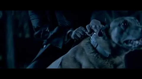 Beyonce - Halo (Alternate Version) - OFFICIAL VIDEO