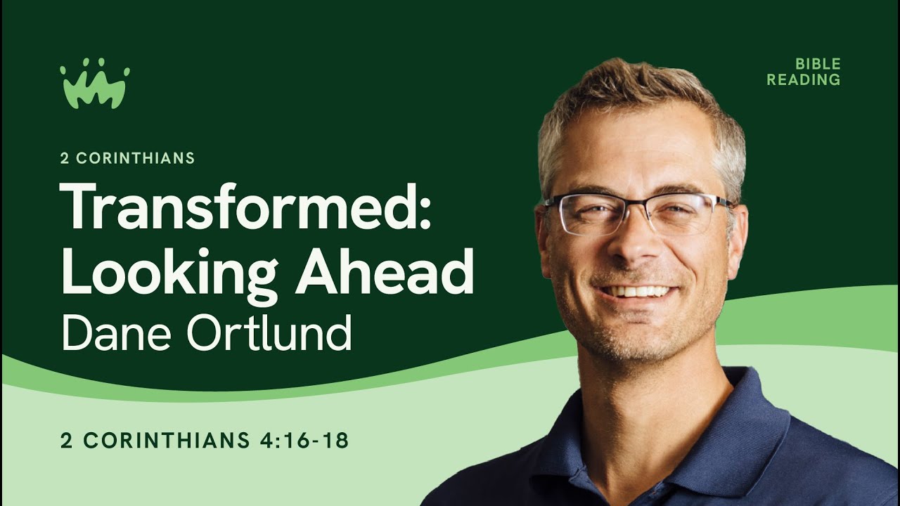 Transformed: Looking Ahead (Heaven)