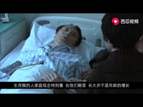 父母在，不远游的2个生肖