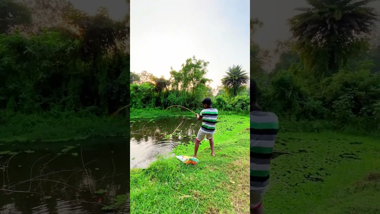 If You Want to Learn Hook Fishing, You Should Follow All My Fishing Techniques 