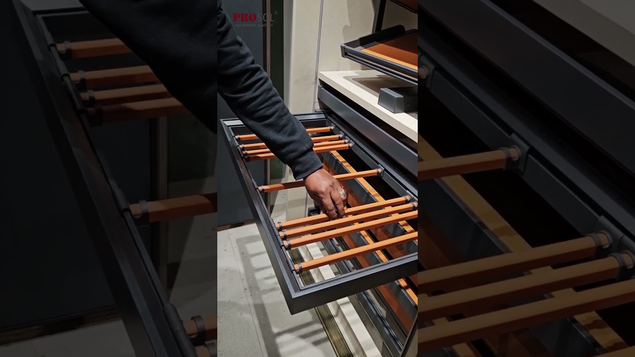 Wardrobe Pull-out Trouser Rack | Provides Creaseless storage with removable hangers | PROSOL