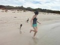 Baby Kangaroo swimming at the Beach